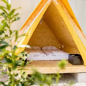 The Fuzzy Log Hostel